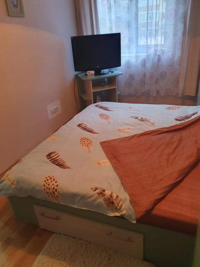 Apartament Cu Trei Camere Băile Herculane Eksteriør bilde